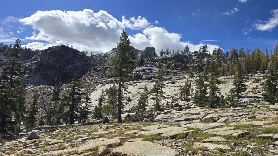 פארק יוסמיטי